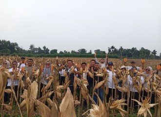 Polsek Payung Sekaki Gelar Panen Raya Jagung Pipil, Dukung Program Ketahanan Pangan