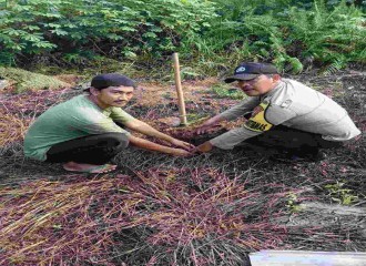 BHABINKAMTIBMAS POLSEK PAYUNG SEKAKI LAKSANAKAN PENANAMAN POHON DUKUNG PROGRAM GREEN POLICING