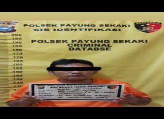 Tim Opsnal Polsek Payung Sekaki Berhasil Meringkus Dua Orang Pelaku Narkoba Dan Satu DPO