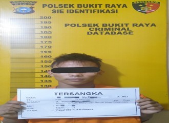 Curi Motor Di Rumah Warga, Pelaku Ditangkap Tim Opsnal Polsek Bukit Raya. 