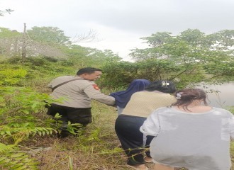 Lima Orang Mahasiswi  "Menyeburkan Diri Kedalam Danau" Karna Diserang Tawon, Polsek Tampan Bergerak Cepat.