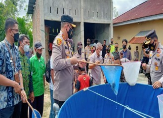 KAPOLRESTA SAMBANGI KAMPUNG TANGGUH NUSANTARA BUDIDAYA IKAN LELE TANJUNG RHU 