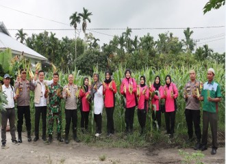 Polresta Pekanbaru Hadiri Panen Raya Jagung Serentak Tahap I Bersama Kapolri Melalui Zoom Meeting 